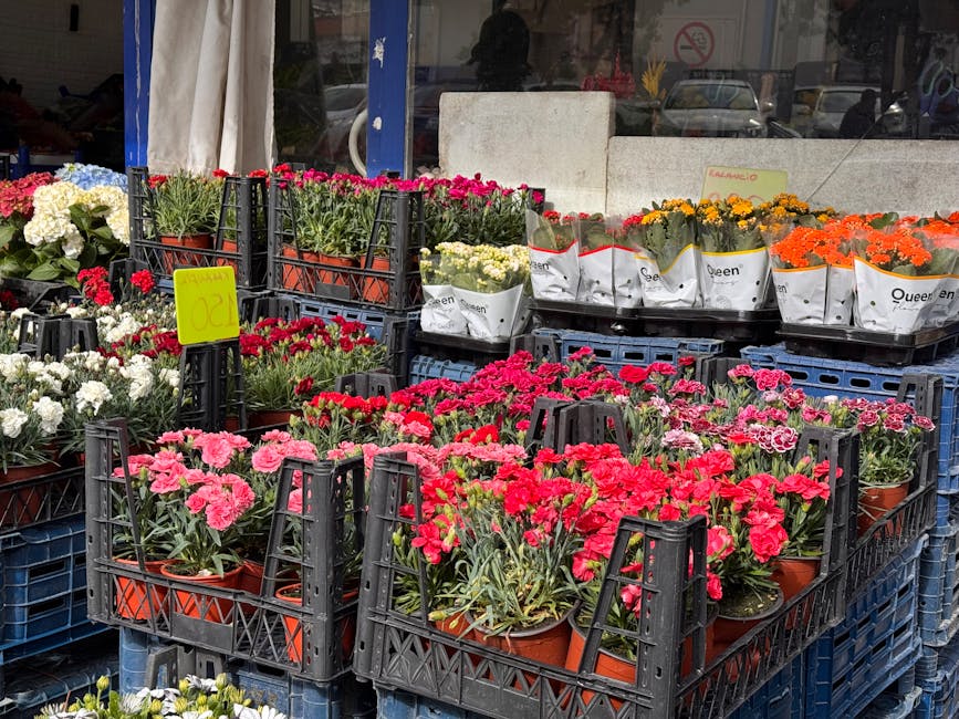 Various potted flowering plants displayed outside a florist shop, including pink and red carnations, white and yellow daisies, orange marigolds, and purple violets, arranged in black plastic crates an